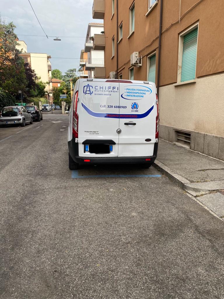 Spurgo pozzi neri a Zola Predosa